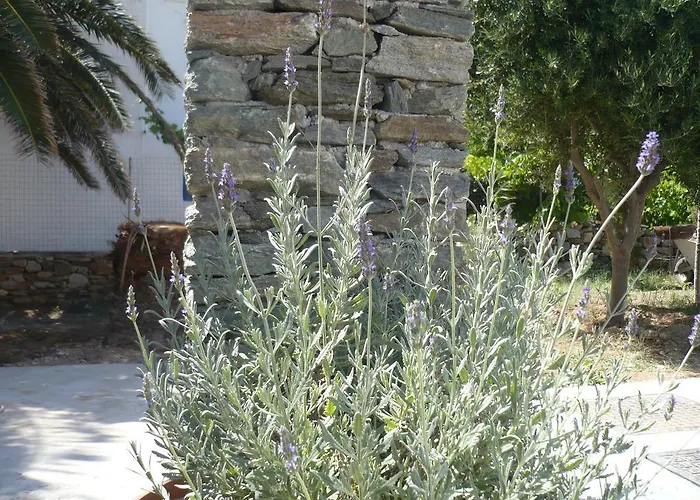 Affittacamere Aerides Boutique 4*