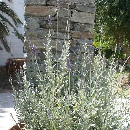 Penzion Aerides Boutique 4*